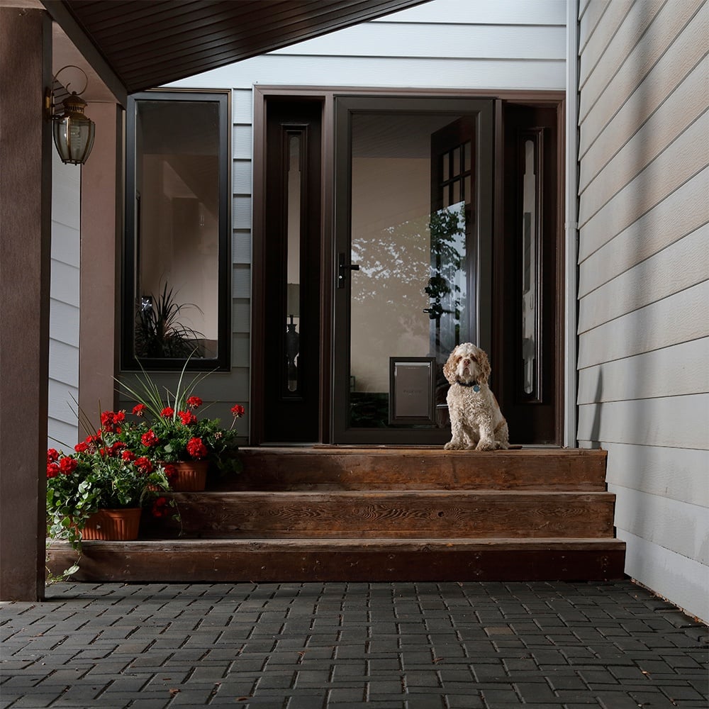 Black storm door clearance with pet door