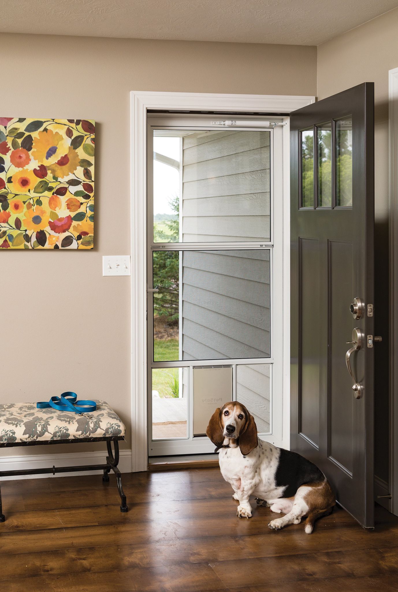 Best storm door with dog door best sale