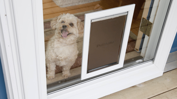 Pet friendly storm door