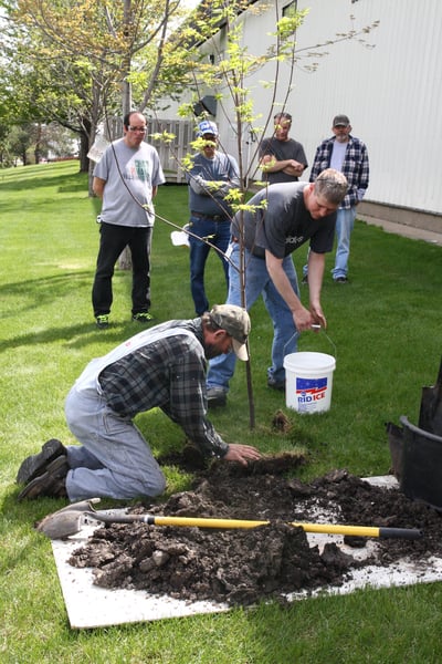 Why We Celebrate Arbor Day.jpg