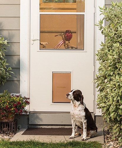 Built In Pet Door