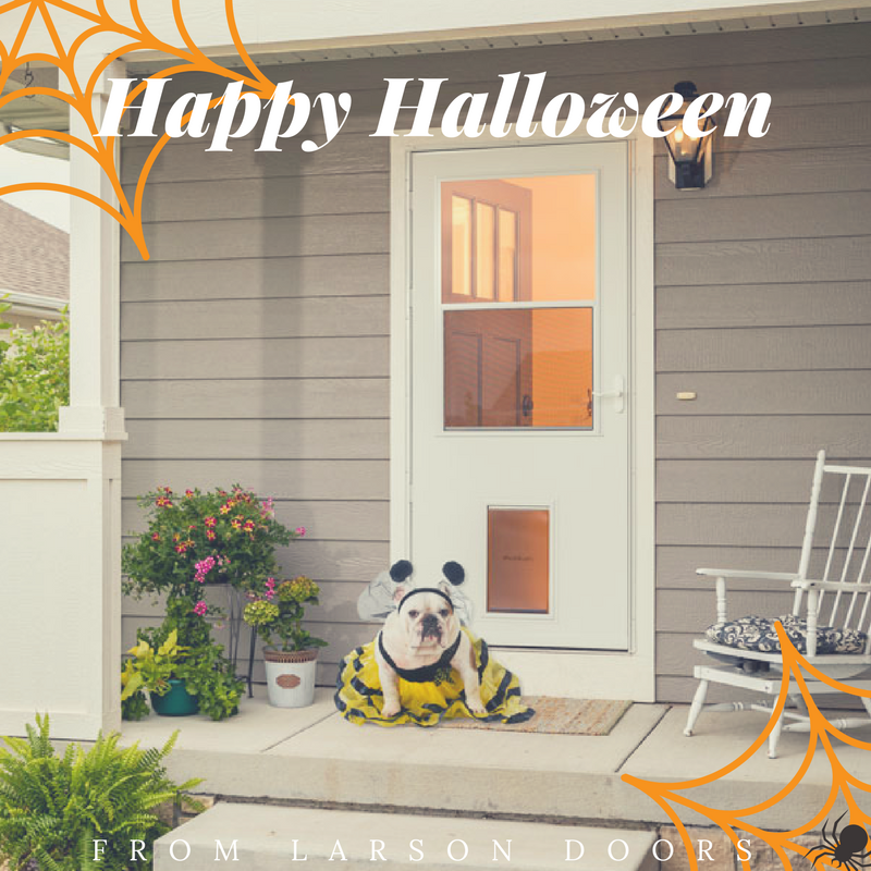 Halloween Storm Door Tips