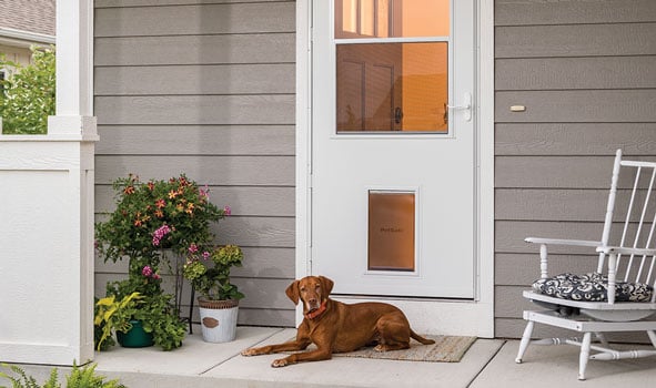 LARSON_37079_Door_with_Dog-1