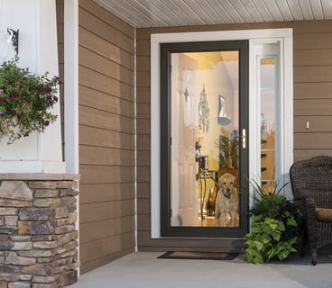 Full glass storm door