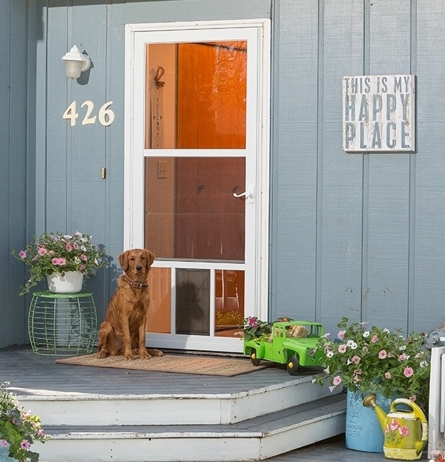 The 4 Types of Storm Doors Dogs Will Love