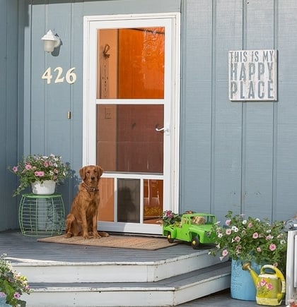 Petview Storm Door