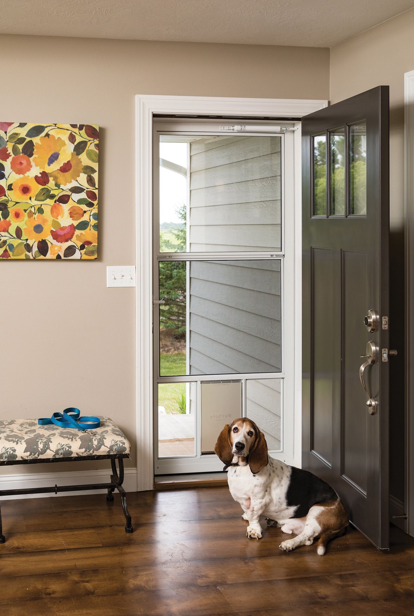Four Types of Storm Doors for Your Dog