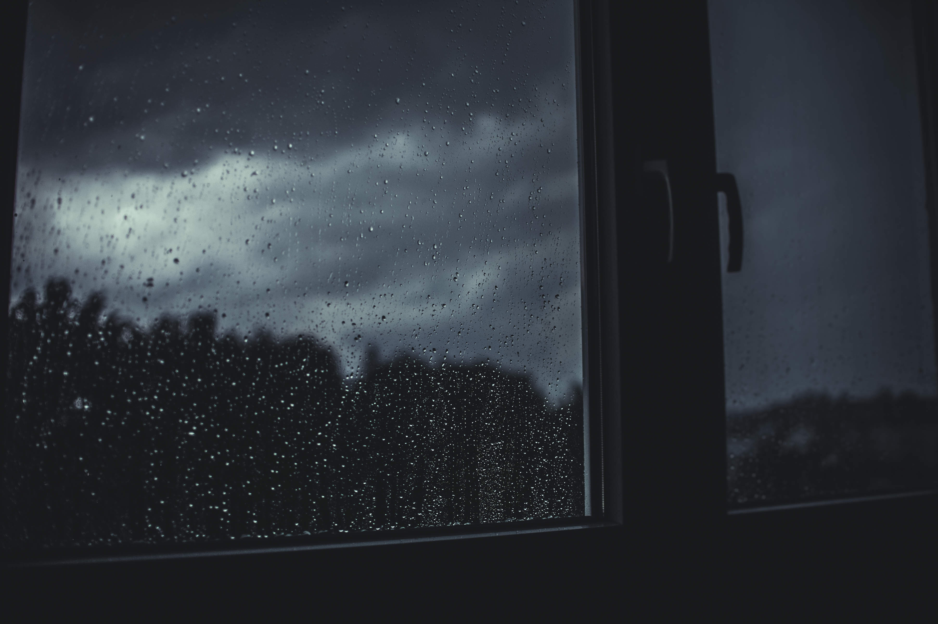 What To Do If Your Storm Door Is Leaking
