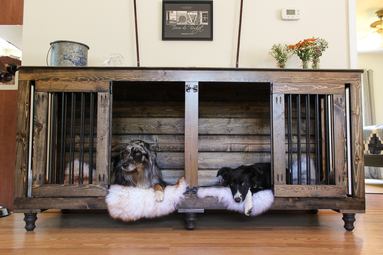 Upgrade Your Home Into A Dog's Dream With These 7 DIY Projects