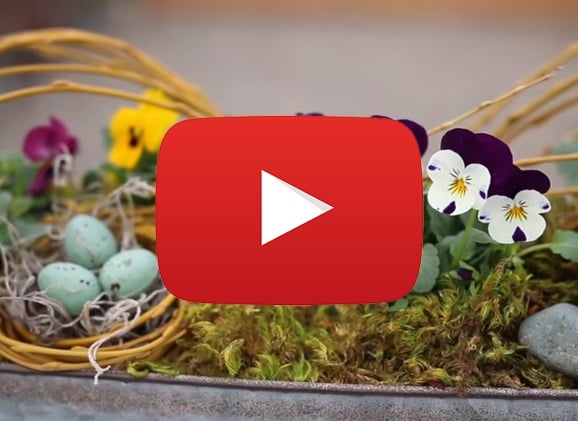 How To Make a Spring Centerpiece [Video]