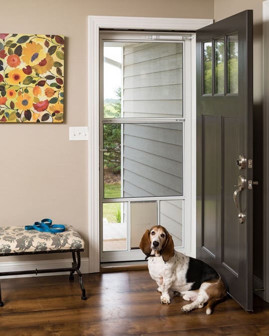 Who Let the Dogs Out? Popular Storm Doors for Dogs.